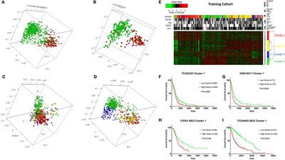 Genomic Analysis of Glioblastoma Multiforme Reveals a Key Transcription Factor Signature Relevant to Prognosis and the Immune Processes